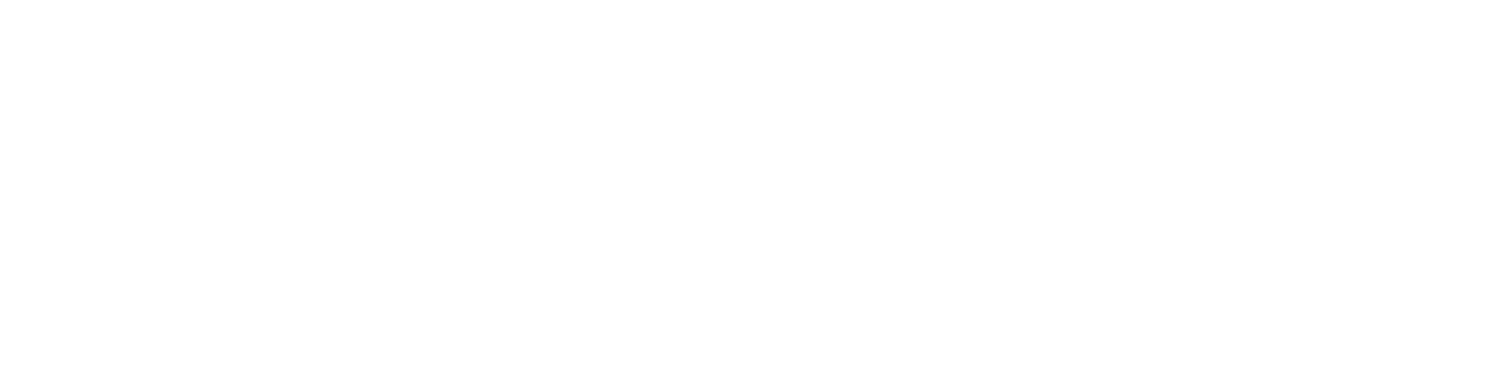 Maruti Suzuki Logo